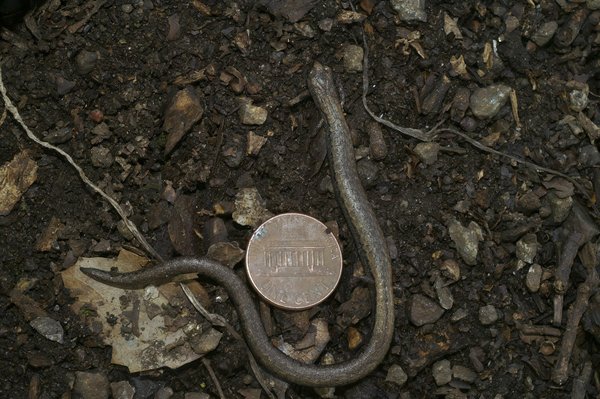 Les expositions de musées VS Galeries d'art : les principales différences